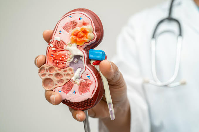 Chronic kidney disease treatment in Jaipur