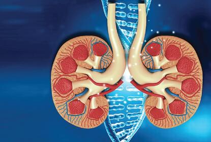 Chronic kidney disease treatment in Jaipur