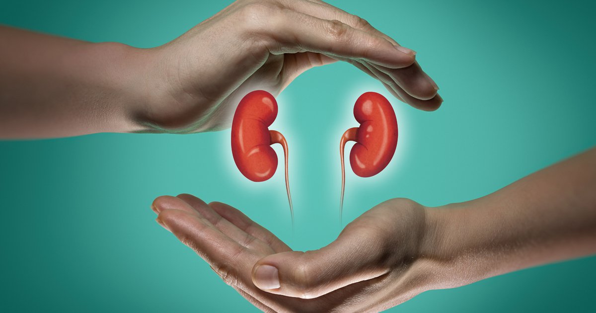 Failed kidney transplant and re-transplant assessment in Jaipur