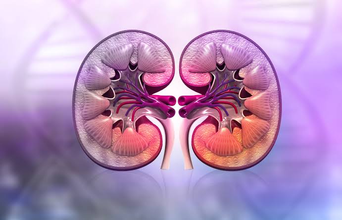 Hypertension related kidney damage treatment in Jaipur