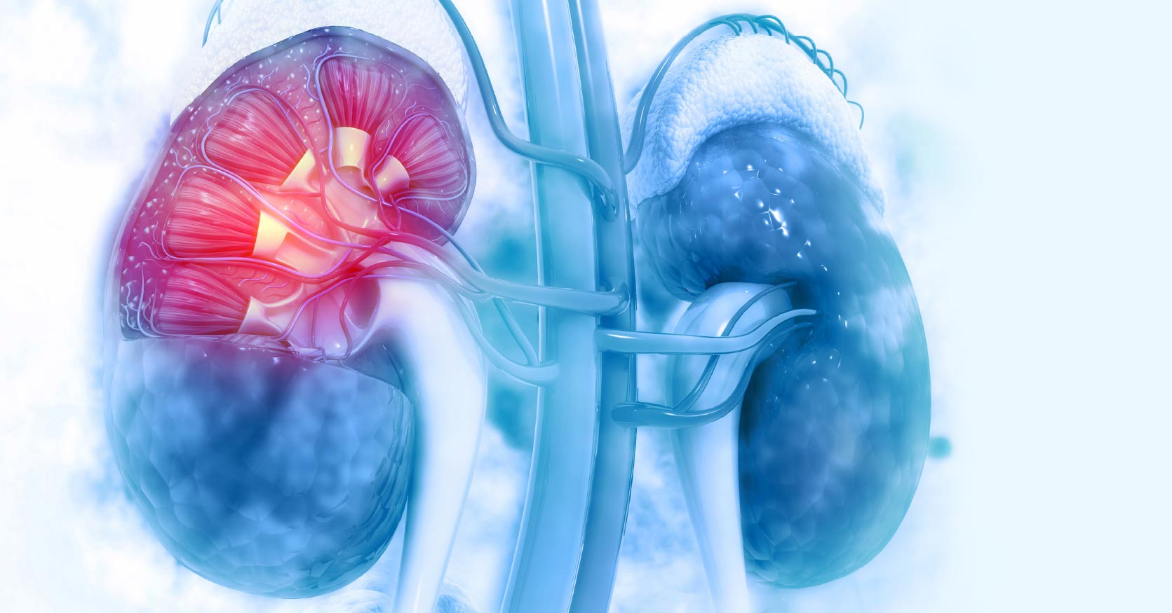 Diabetic kidney disease treatment