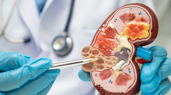 Dr. Ajay Pal Singh consultation